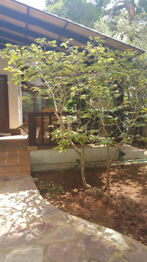 Villa Chabola デニア エクステリア 写真