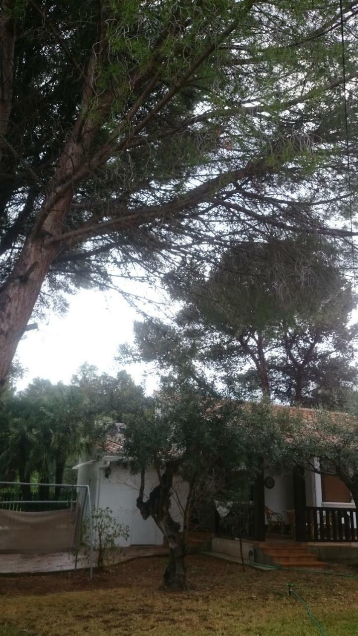 Villa Chabola デニア エクステリア 写真